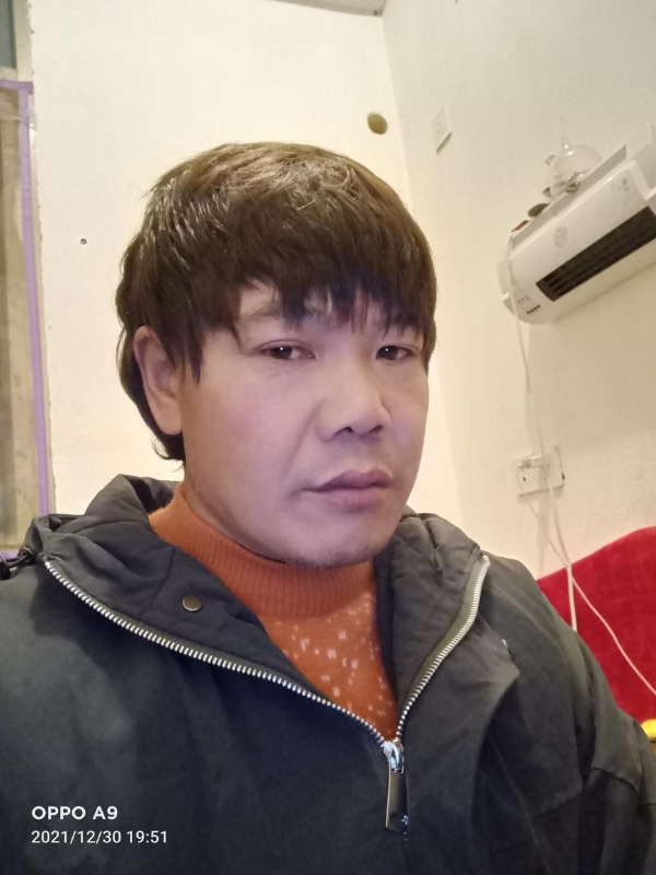 小鸟找窝的第一张照片--武平相亲网